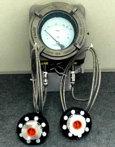 Explosion Proof Model 140 with Chemical Seals